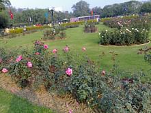 Haryana parks to have gyms