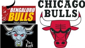 Which Bulls logo is most worthy: Bengaluru Bulls, Chicago Bulls, or Rock's Brahma Bull?