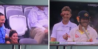 Video: Woman takes graceful fall during Ashes Test, Joe Root and David Warner share laugh