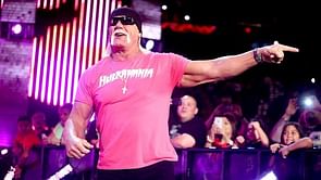 Bray Wyatt parody video regarding Hulk Hogan controversy, NWO merch pulled, WWE Network - Hogan