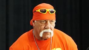 Hulk Hogan racism controversy costs WWE big money