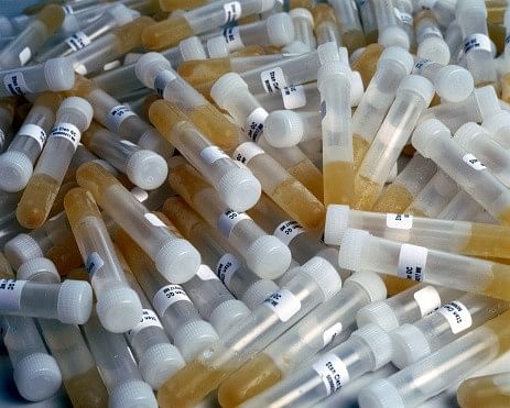 London Marathon 2015: Results in doubt after doping scandal emerges