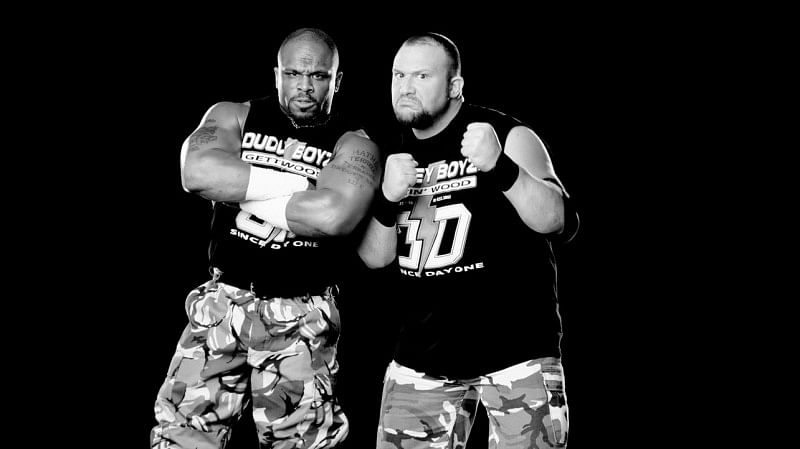 Dudley Boys are a breath of fresh air for the division