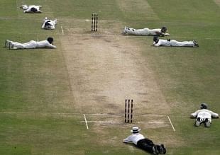 A bee attack left all the cricketers and the umpires on the ground