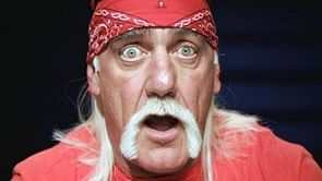 Hulk Hogan appointed brand ambassador