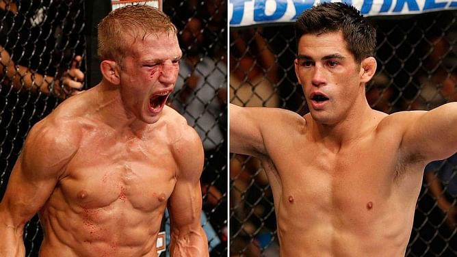 UFC sets up bantamweight title match between Cruz vs Dilashaw at UFC Fight Night 81