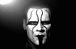 Thoughts behind bringing Sting into WWE, will Hogan be back in the WWE?