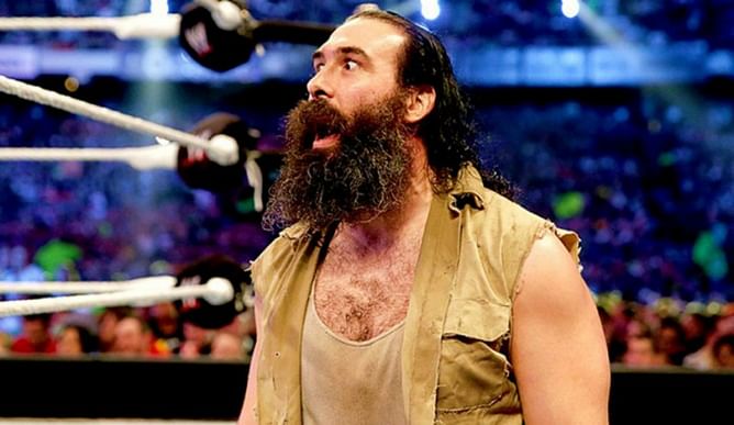 Backstage update on Luke Harper's return, Paul Heyman twitter update, new WWE video