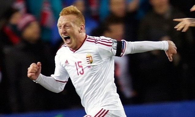 Euro 2016 play-offs : Norway 0-1 Hungary - 5 Key talking points