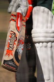 david warner's bat