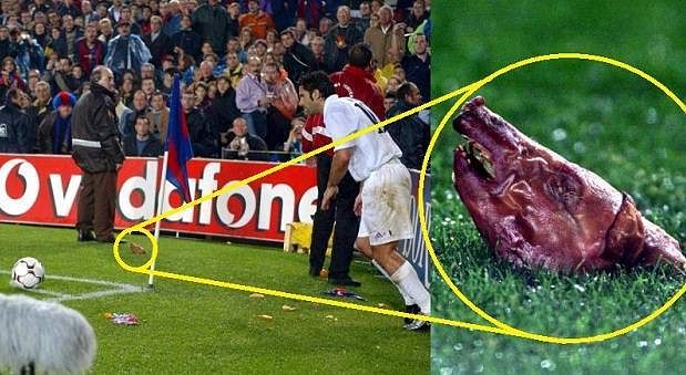 Luis figo pig head