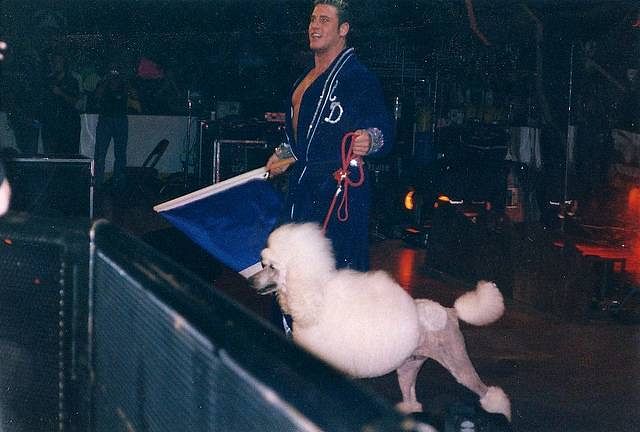 Top 5 angles involving animals in the WWE