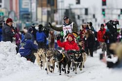 Sled dog killed in apparent snowmobile 'attacks' at Alaska's Iditarod