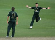 Brett Lee and Glenn McGrath