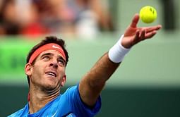 French Open 2016: Juan Martin Del Potro to enter men's draw