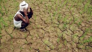 Can't waste 70 lakh litres of water in drought affected Maharashtra, shift IPL out: BJP Secretary