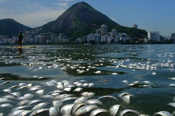 Rio Olympics 2016: City resigned to dirty bay as Olympic clean-up cancelled
