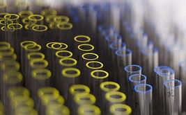 Russian Olympic Committee: samples from 2008 Olympics showed positive results for 14 Russian athletes