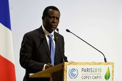 Grenada PM urges 'antiquated' WICB not to resist change