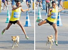 TCS World 10K participant sees race interrupted by stray dog