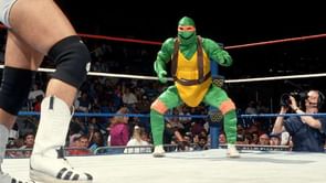 The strange but true story of Gillberg and the wrestling turtles