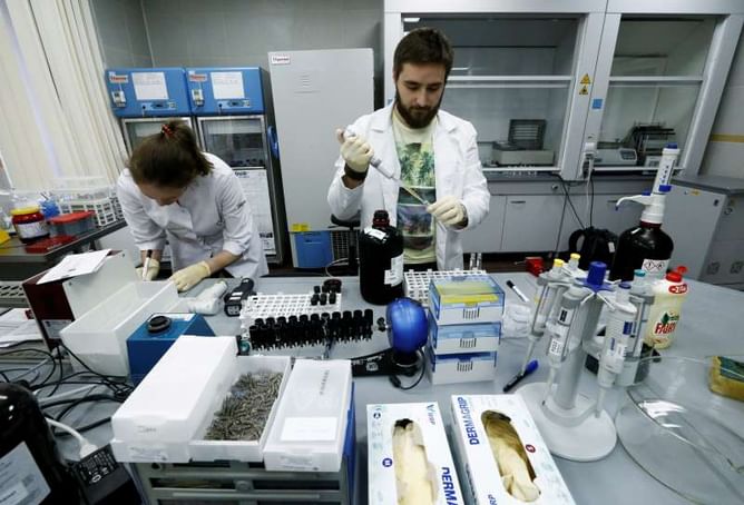 Russia prepares education campaign to tackle doping in sport