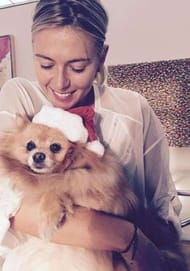 maria sharapova dog