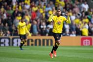 Etienne Capoue