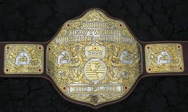 WWE Wrestling Championship World Heavyweight Title Belt