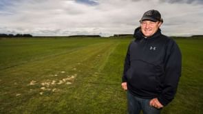 Dairy farmer builds 'field of dreams' in his backyard