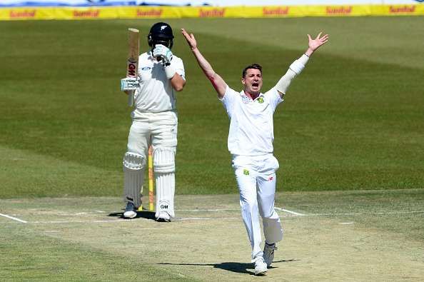 Dale Steyn says South Africa will hunt Australia like 'wild dogs'