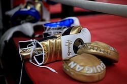 Boxing News: Indian Boxing Council inducted into WBO with voting rights