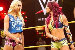 The significance of Sasha Banks and Charlotte headlining Hell in a Cell