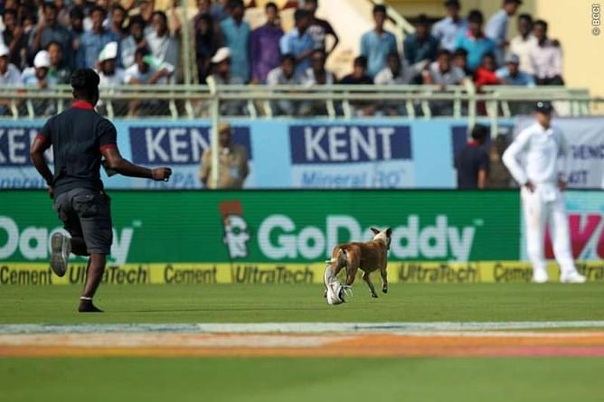India vs England 2016: Unrelenting dog forces early tea on day 1 of Vizag Test