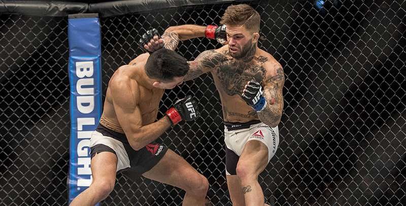 MMA News Cody No Love Garbrandt tweets about UFC 207 victory