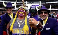 Vikings Fans