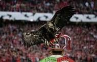 LISBON, PORTUGAL - MARCH 28: The Benfica Golden Eagle swoops onto his perch before the UEFA Champions League Quarter Final first leg match between Benfica and Barcelona, at the Estadio da Luz. March 28, 2006 in Lisbon, Portugal (Photo by Richard Heathcote/Getty Images)