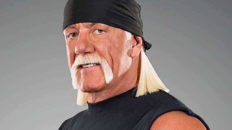 Hulk Hogan was the face of the WWE at one point