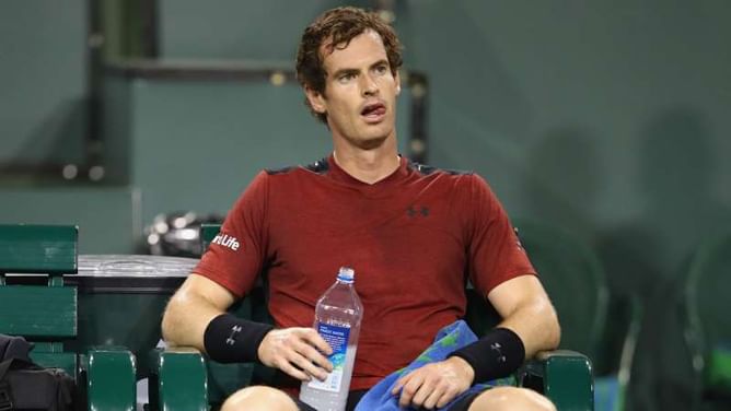 Murray likely to miss Davis Cup quarter-final
