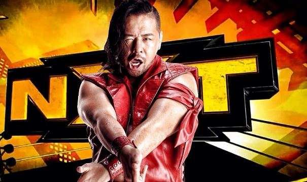 WWE Wrestlemania 33: 10 stars most likely to return/debut on the Raw & SmackDown after Wrestlemania