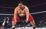 yokozuna
