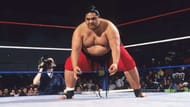 Yokozuna in the ring