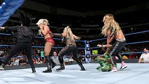 From the WWE Rumor Mill: WWE planning for a women-only Money in the Bank Ladder match