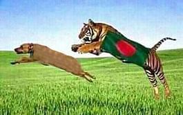 Champions Trophy 2017: Bangladesh gets downright dirty yet again ahead of the semis vs India