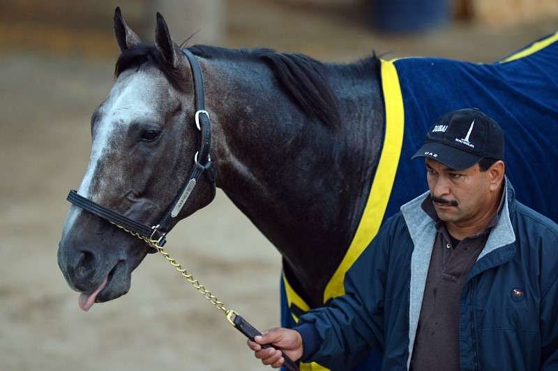 Arrogate Looks To Go Out On Top At Breeders' Cup Classic