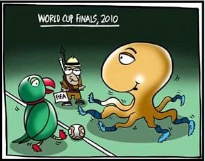 Mani the parrot Vs Paul the Octopus