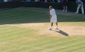 Federer on grass